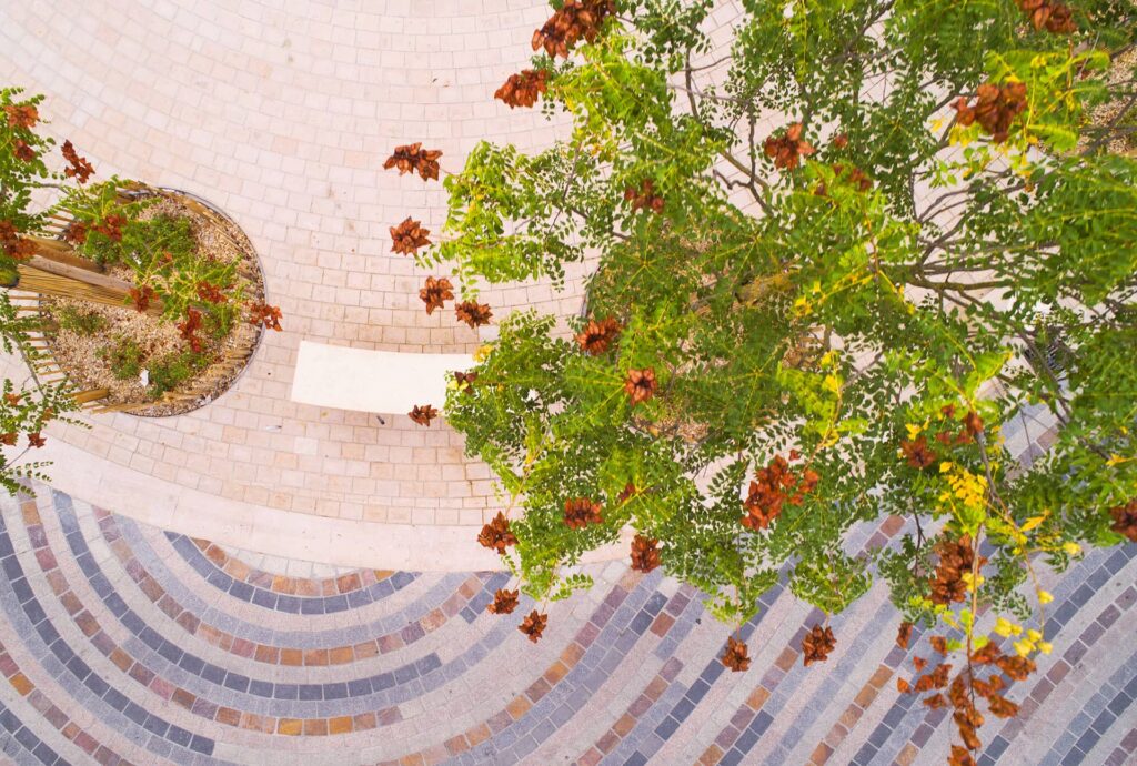Pavage circulaire multicolore sous un arbre, design urbain. Vue plongeante sur un aménagement urbain. Arbre vert, fruits marron, banc blanc et jardinière circulaire. Pavage géométrique multicolore en arcs.